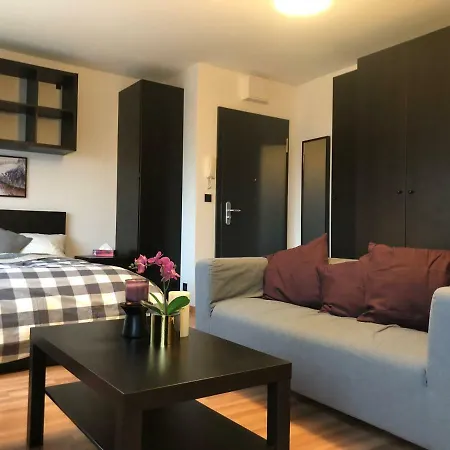 Cozy Studio In The Heart Of Apartment